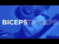 Biceps & Triceps Training Split - for SIZE, STRENGTH, & CONDITIONING | Rob Riches Fitness Coaching