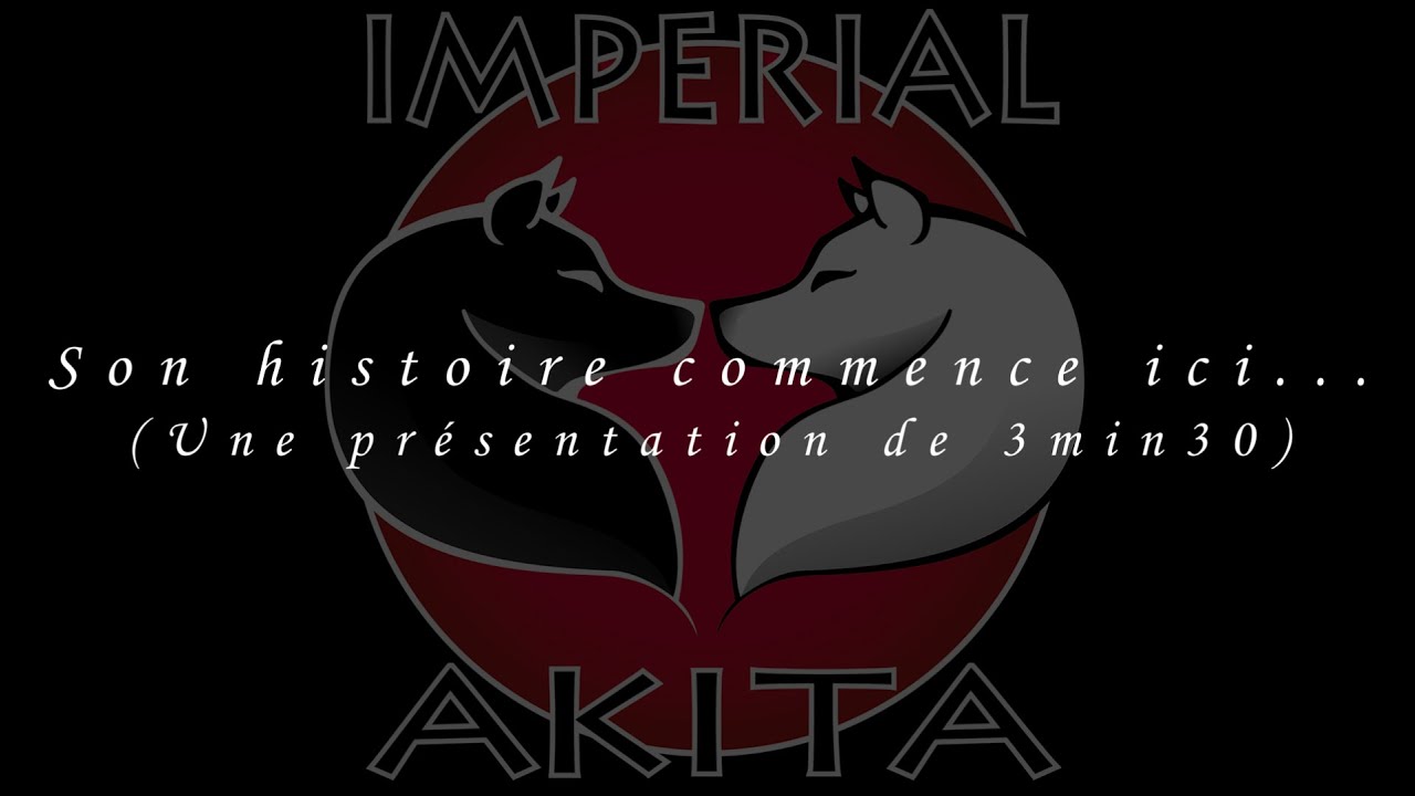 "Une image vaut mille mots..." thumbnail