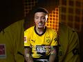 „Inside information“ | How Reus invited Sancho to come back