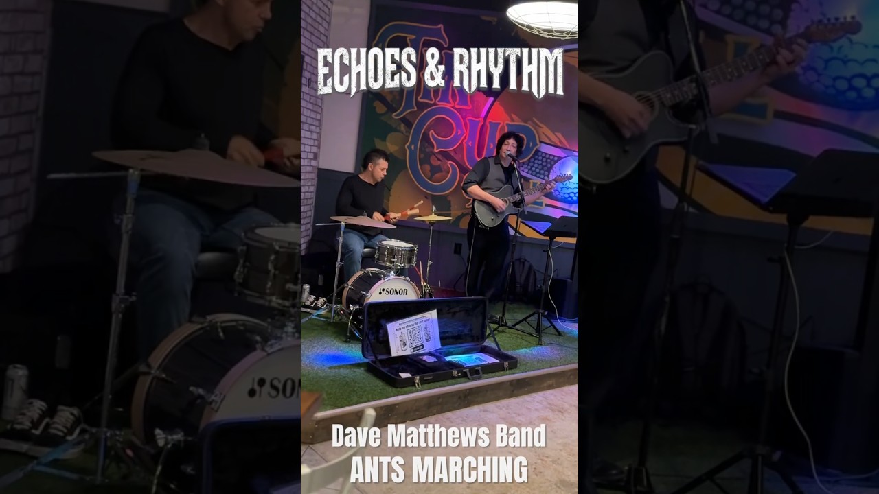 Promotional video thumbnail 4 for Echoes & Rhythm