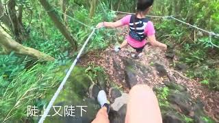 觀音山15連峰 可愛的貓貓