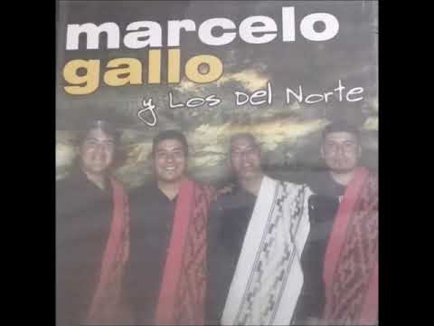 Tenés razón   Marcelo Gallo y Los del Norte