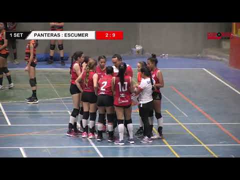 Final Voleibol Femenino Categoria Infantil Circasia