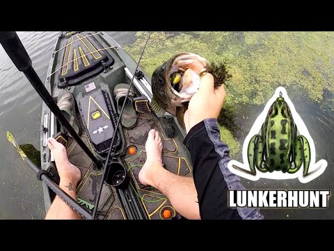 Throwing The Lunkerhunt Frog At My Favorite Spot