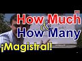 Cuál es la diferencia entre ”How many” y ”How much”... Descúbre