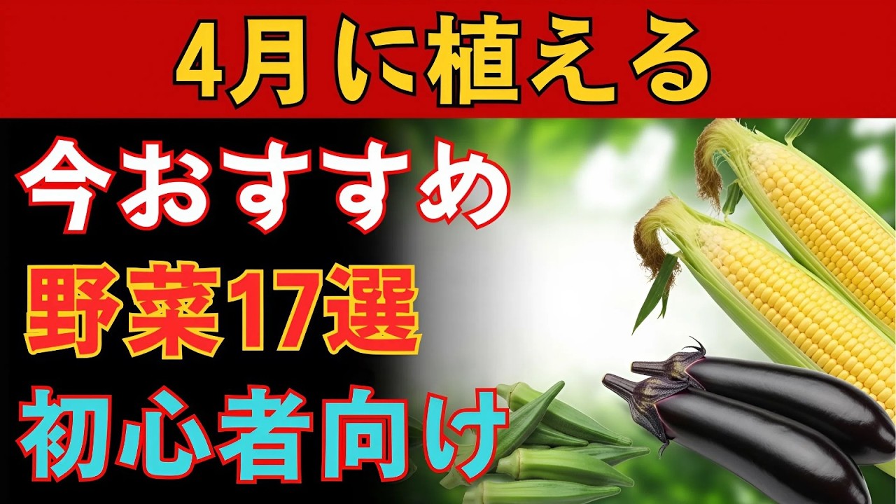 4月に植えるならこれ！初心者でもたっぷり収穫しやすいおすすめ野菜17選【プランター 家庭菜園】