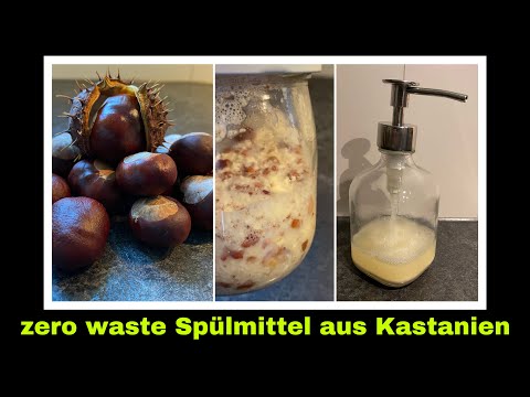 Spülmittel aus Kastanien selber machen | Rosskastanie Rezept in der Selbstversorgung