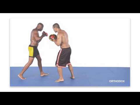 Anderson Silva Striking Combos For MMA  (With English Subtitles) CD1
