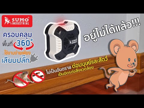 ใช้คลื่นเสียงความถี่สูง Ultrasonic ขับไล่หนู สัตว์ตัวเล็กๆ เห็นผลภายใน 3 - 7 วัน กับเครื่อง A100