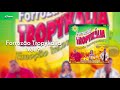 Forrozão Tropykália Vol 9 Fogo No Fogo CD Completo