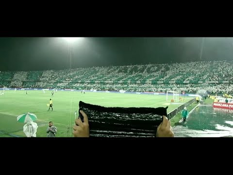 "CÃNTICOS LOS DEL SUR | AtleÌtico Nacional 1 - Millonarios 0, Semifinal Liga Ãguila 2017-I" Barra: Los del Sur • Club: Atlético Nacional