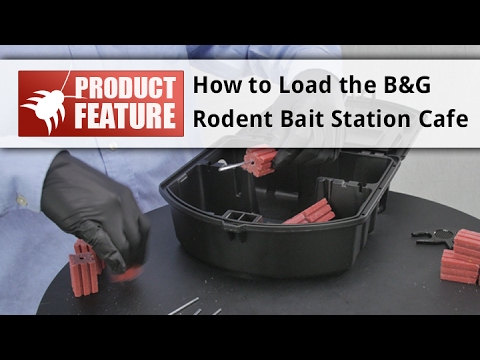  How to Load the B&G Rodent Bait Station Cafe Video 