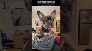 Which video do you think is the funniest? #funny 