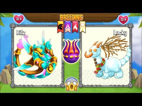 Dragon City: Brave Dragon vs Snowman Dragon [EXCLUSIVE BREEDING] 😱
