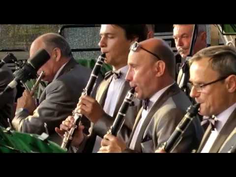 Lietuvių liaudies daina (arr. D. Pulauskas, J. Janulevičius) - „Už ežerėlio, prie Dunojėlio“