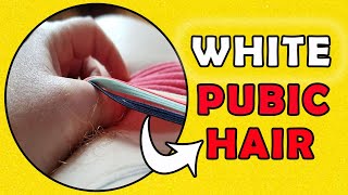 Reason why your Pubic Hair might turn Gray (White Pubic Hair)