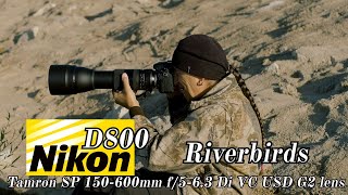 Los Angeles river with Nikon's D800 and Tamron's 150-600mm f/5-6.3 Di VC USD G2 lens. Worth sharing?
