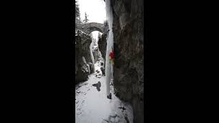 faze tari turturi de gheata imensi