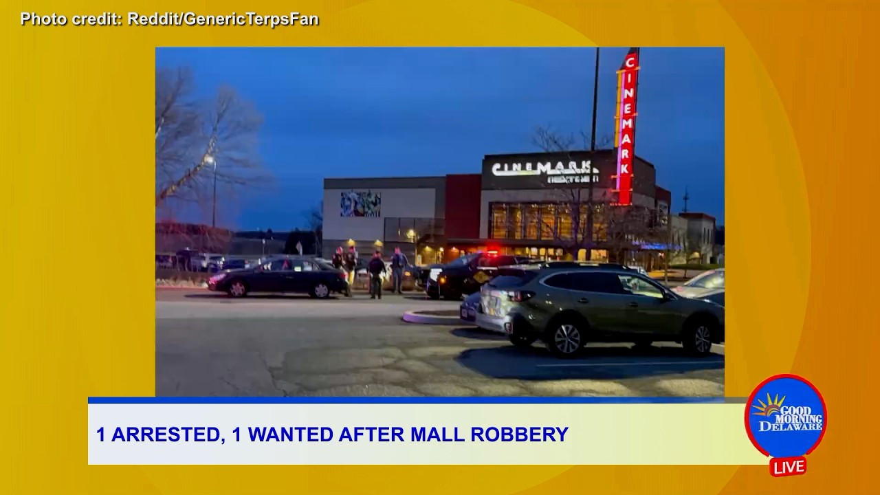 Christiana Mall Robbery, Deadly Wilmington DUI Crash & Delaware Alerts | DETV News