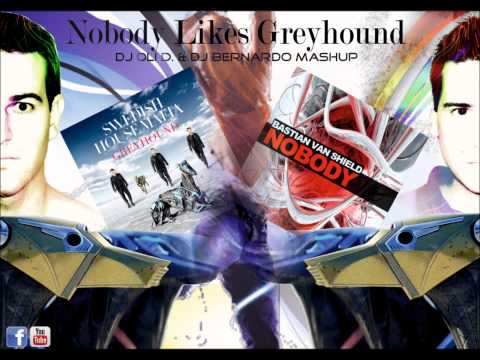 Nobody Likes Greyhound (DJ OLI D & DJ BERNARDO Mashup) - Sweedish House Mafia & Sebastian v. Shield