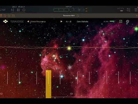 Teraverse w/Fugue Machine