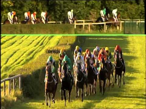 Galopprennbahn Dresden - 27.09.2014 - 7.Rennen