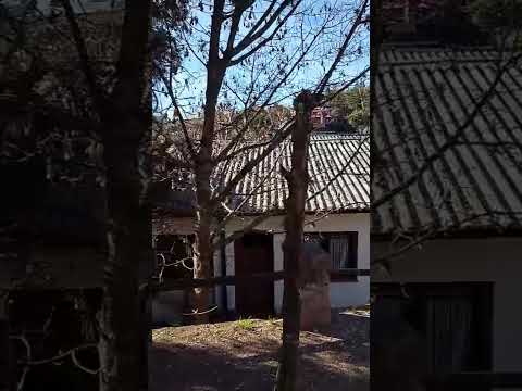 paseo en la Cumbrecita cordoba