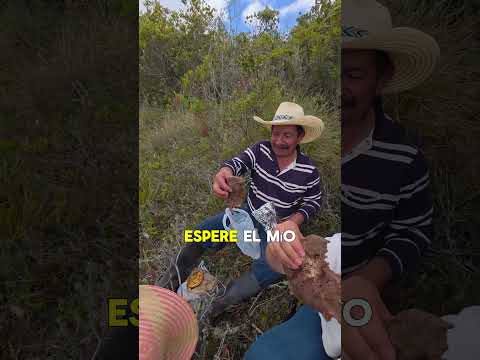 Almorzando con esta vista tan maravillosa