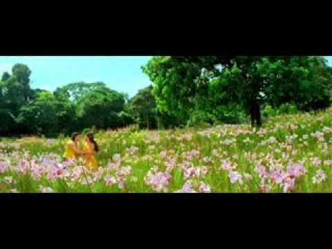 Sithaka Kohe Thibunado Adare