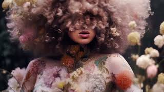 Musik-Video-Miniaturansicht zu I Forgive You Songtext von Sia