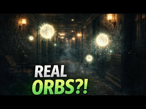 Hotel Connor Video 2