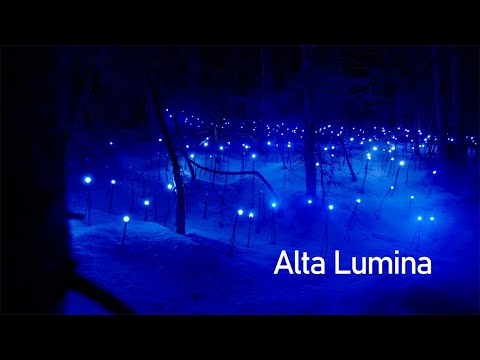Alta Lumina montagne 4K