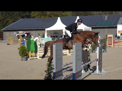 Okawango v. Ogano Sitte - Cornet Obolensky, OS, Hengst * 2018