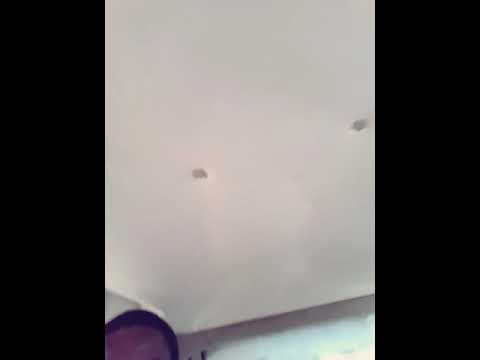 T bang the commander