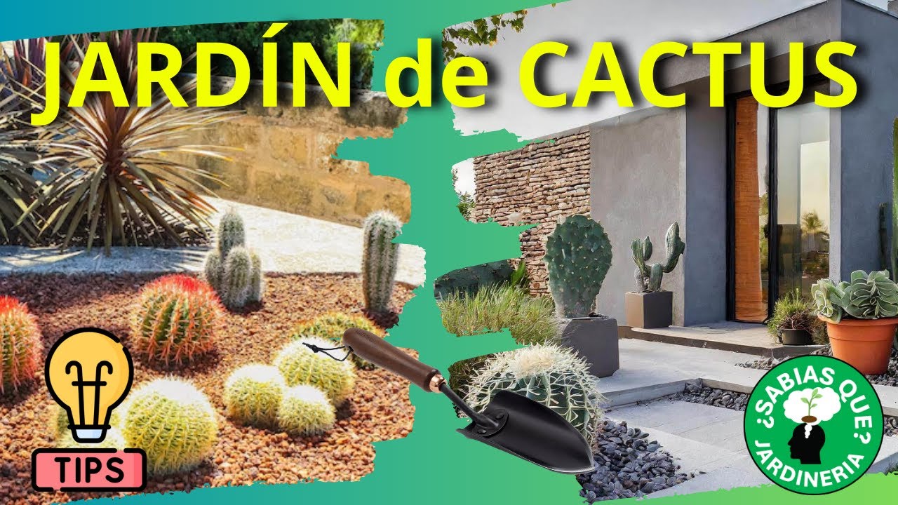 How to Create a Cactus Garden | Step-by-Step Guide 🌵✨