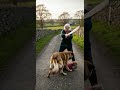 Angry Grandma Smashes Dog Attack Child