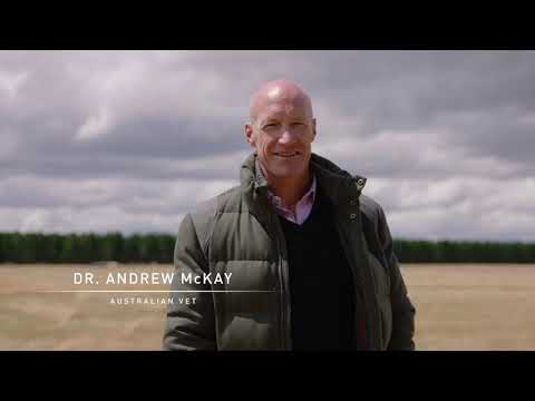 Power of Probiotics in Livestock Production