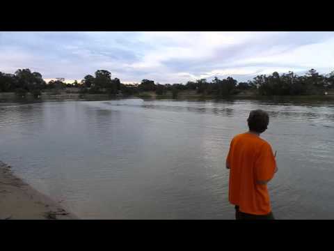 TFL ZONDA 41in  carbon edition