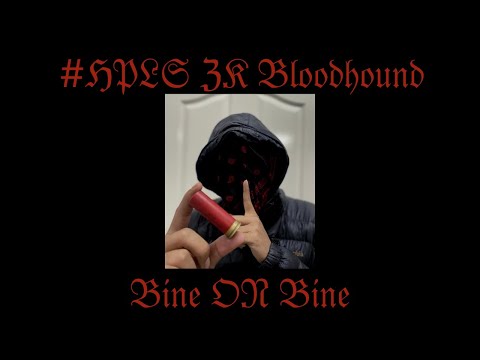 ZK BloodHound  - Bine On Bine