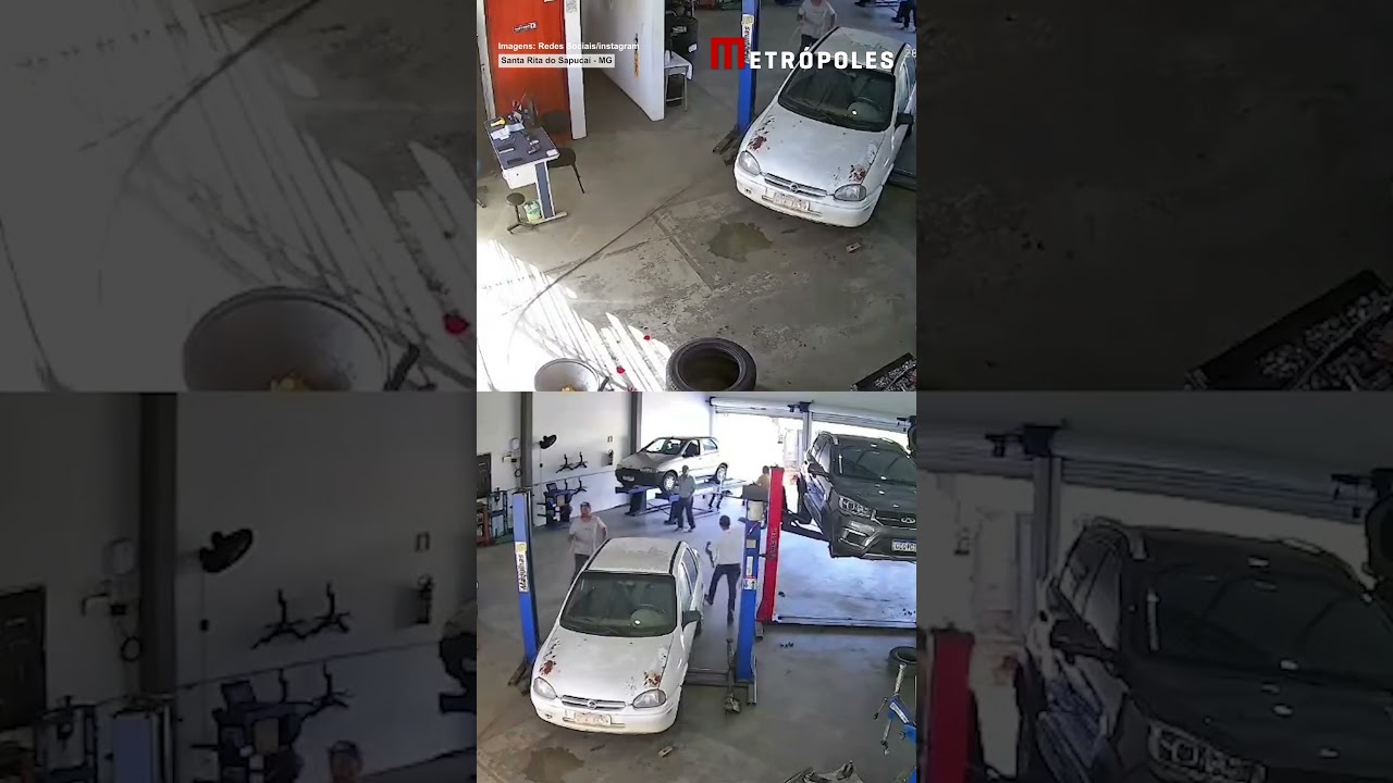 Boi invade oficina mecânica em Santa Rita do Sapucaí em MG