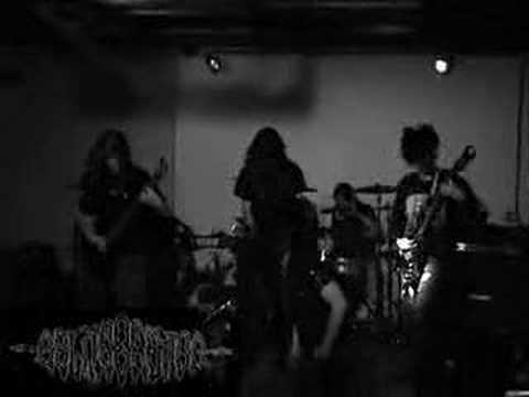 BELLIGERENCE LIVE