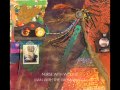 Nurse With Wound || Beware The African Mosquito (Ring Your Doorbell, Put You To Sleep)
