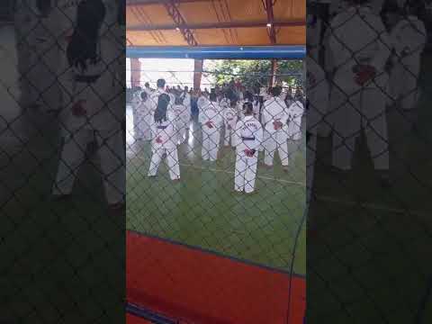 Taekwondo indiara-goias primeiro exame de faixas Coloridas 2026.