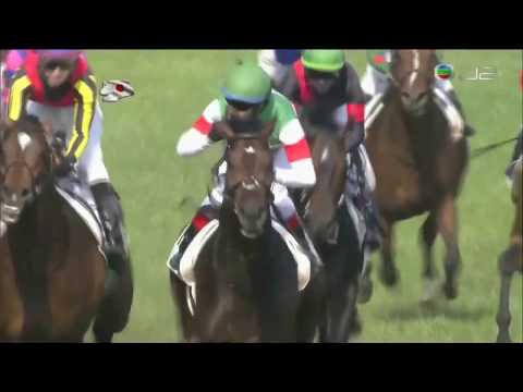 2017 Tokyo Yushun (Japanese Derby) G1 - Rey de Oro (金之霸) - C.Lemaire