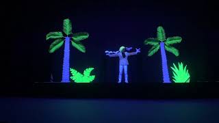 Unique neon light show