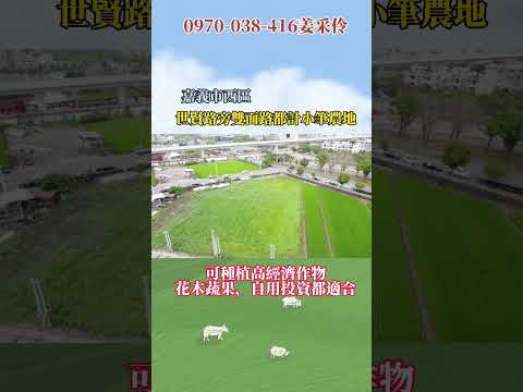 西區-湖子內段農地出售 第1張共16張