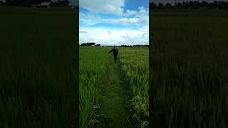 Download lagu Lucu masa kecil kurang bahagia..hahahha mp3 Download lagu Lucu masa kecil kurang bahagia..hahahha mp3