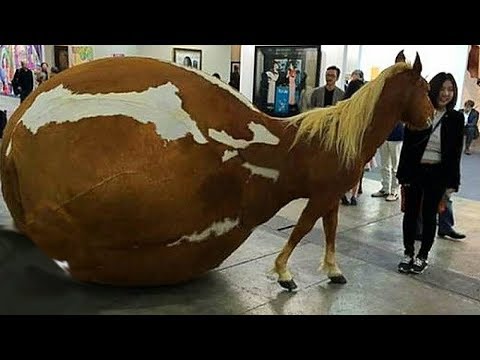 , title : 'Dünya'nın En Pahalı 10 At Irkı'