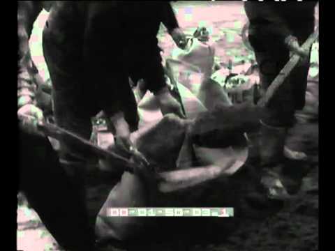 "Lava fredda" su Zambana