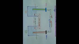 #chemistry #chartproject #class_12th #daniellcell #chart #shorts  @i_am_gunnu_bora